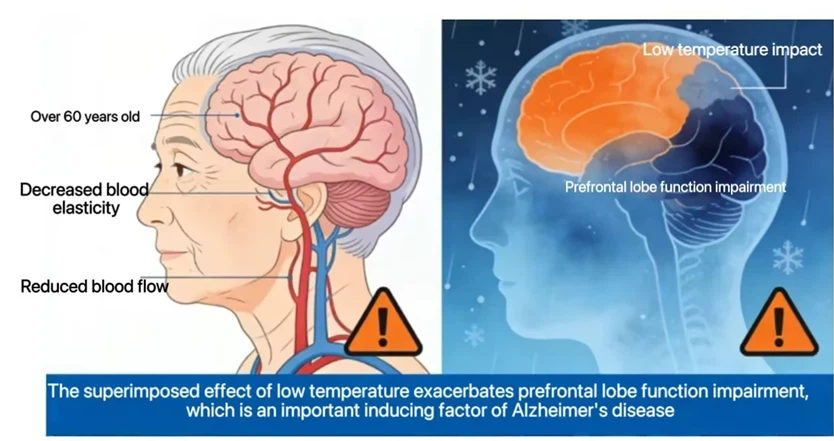 info-834-441 info-834-441